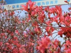 -岳西天峡风景区