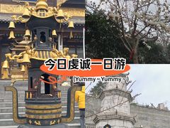 -武汉长春观