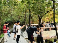 -火炉山森林公园
