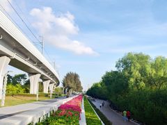 -宝安西湾红树林湿地公园