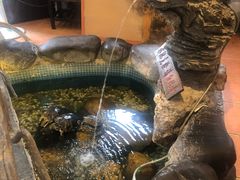 -御膳粥·牛乳粥底火锅·地道顺德菜(容桂店)