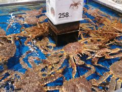 -盒马鲜生(红莲店)