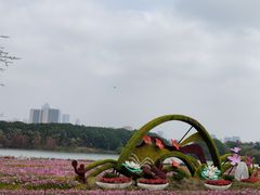 -海珠湖公园