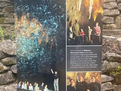 -怀托摩萤火虫洞