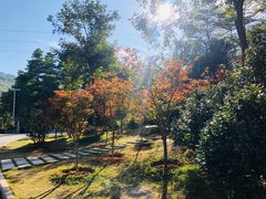 -广州市帽峰山景区