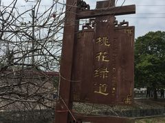 -红山村