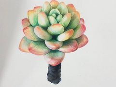 -八哥美术·成人美术画室(总校区)