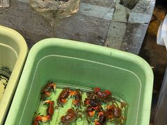 -循礼门鲜花花市(武汉循礼门店)