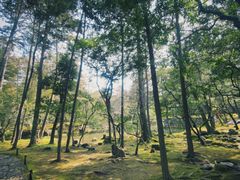 -西芳寺(苔寺)