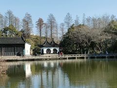 -红梅公园
