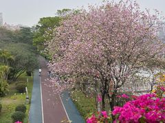 -文华公园(禅城区)