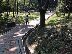 -天河儿童公园