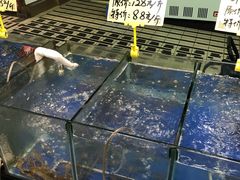 -蚝得喜海鲜(东城店)