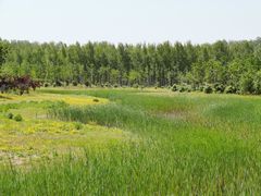 -东郊湿地公园