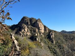 -大岭沟猕猴桃谷风景区