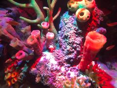 -沈阳海洋探索中心