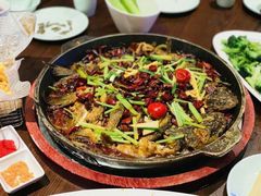-老板恋上鱼(荣盛广场店)