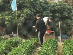 -凤岗南门山森林公园