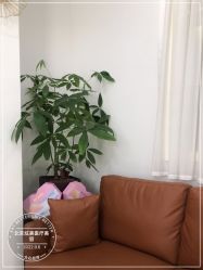 -北京炫美医疗美容