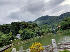 -广州市帽峰山景区