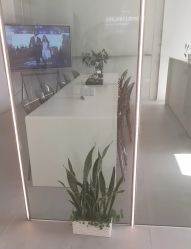 -紫琪尔·胸部养护护理