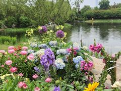 -武汉园博园(武汉自然博物馆)