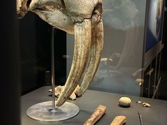 -丹麦国家博物馆