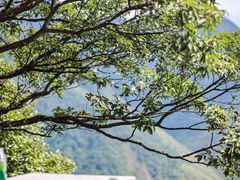 -江郎山风景名胜区