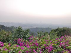 -火炉山森林公园