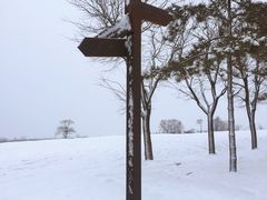 -汉长安城未央宫国家考古遗址公园