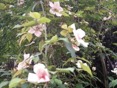 -仙海旅游度假区