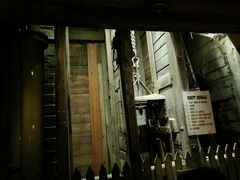 -疏芬山金矿