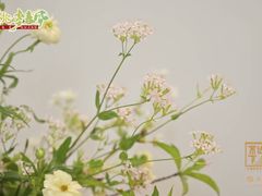 -汉艺唐风茶艺培训(联发华美空间店)