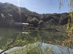 -天地生态农庄