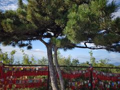 -香山公园