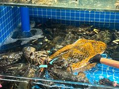 -良师门滨海人家·海鲜·家常菜(滨海城店)