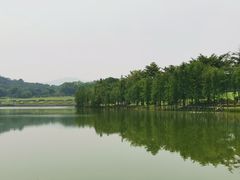 -东莞植物园