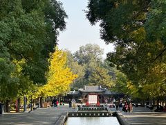 -晋祠公园