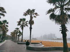 -金沙湖公园