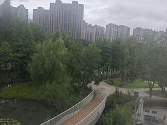 -洋湖国家湿地公园
