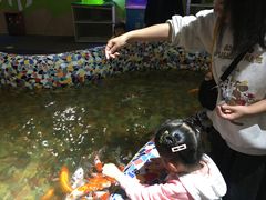 -江和美海洋公园