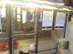 -鱼窝棚柴火铁锅炖(富山屯店)