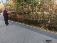 -碑林公园