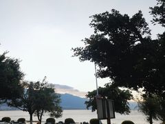 -野菌皇海景野生菌火锅(滨海大道店)