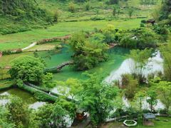 -靖西鹅泉风景区