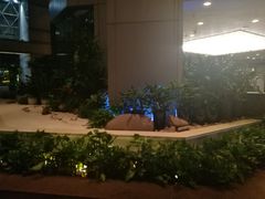 -上海新锦江大酒店
