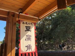 -杨梅坑