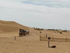 -银肯塔拉沙漠生态旅游景区