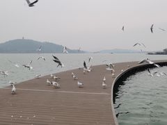 -水上明月·湖景餐厅