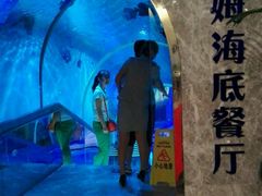 -瑞德姆美人鱼海底演艺主题餐厅(亚龙湾店)